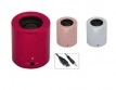 Bluetooth-govoritel