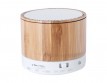 prenosima-Bluetooth-kolonka