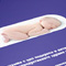 Плакат 50х70 см - клиент Си Банк и  Фондация Искам бебе